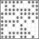 Следопыт 10х10 #3 Следопыт 10х10 #3