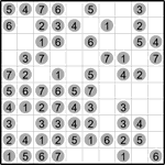 Следопыт 10х10 #11