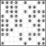 Следопыт 10х10 #15