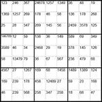 Сукаку 9х9 #10 средний