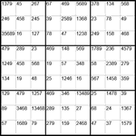 Сукаку 9х9 #13 средний